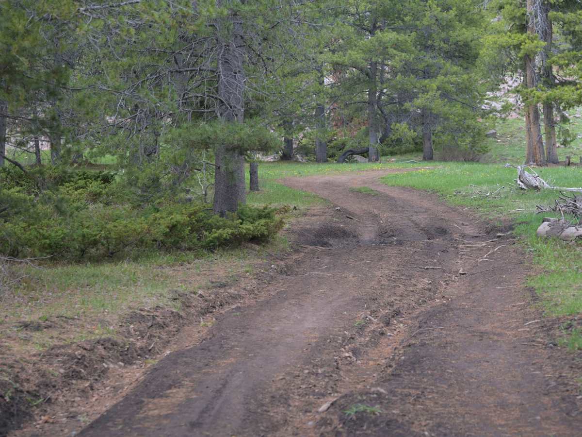 Pothole - FS 10256 photo 6