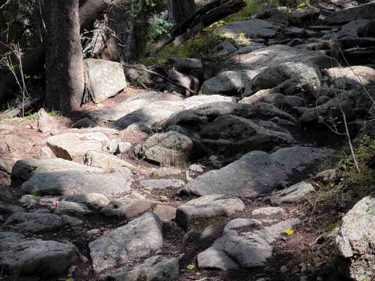 Gallegos Trail - FS 4  photo 2