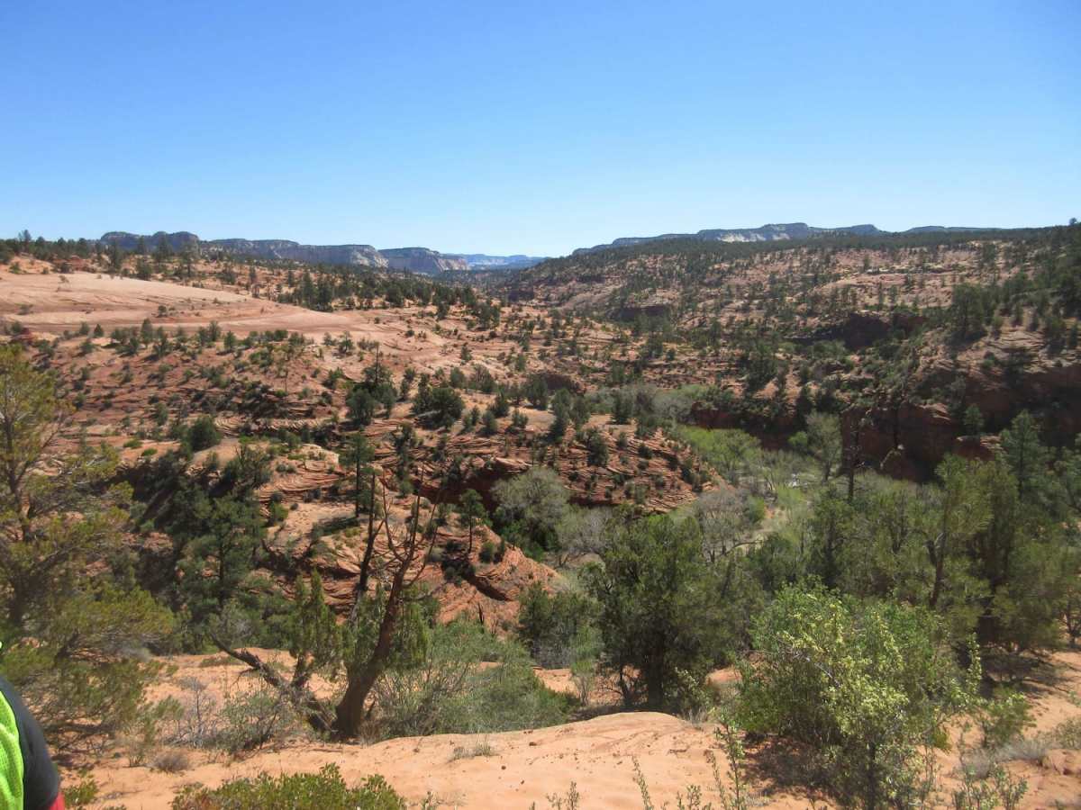 Elephant Gap - Poverty Gulch Overlook photo 6