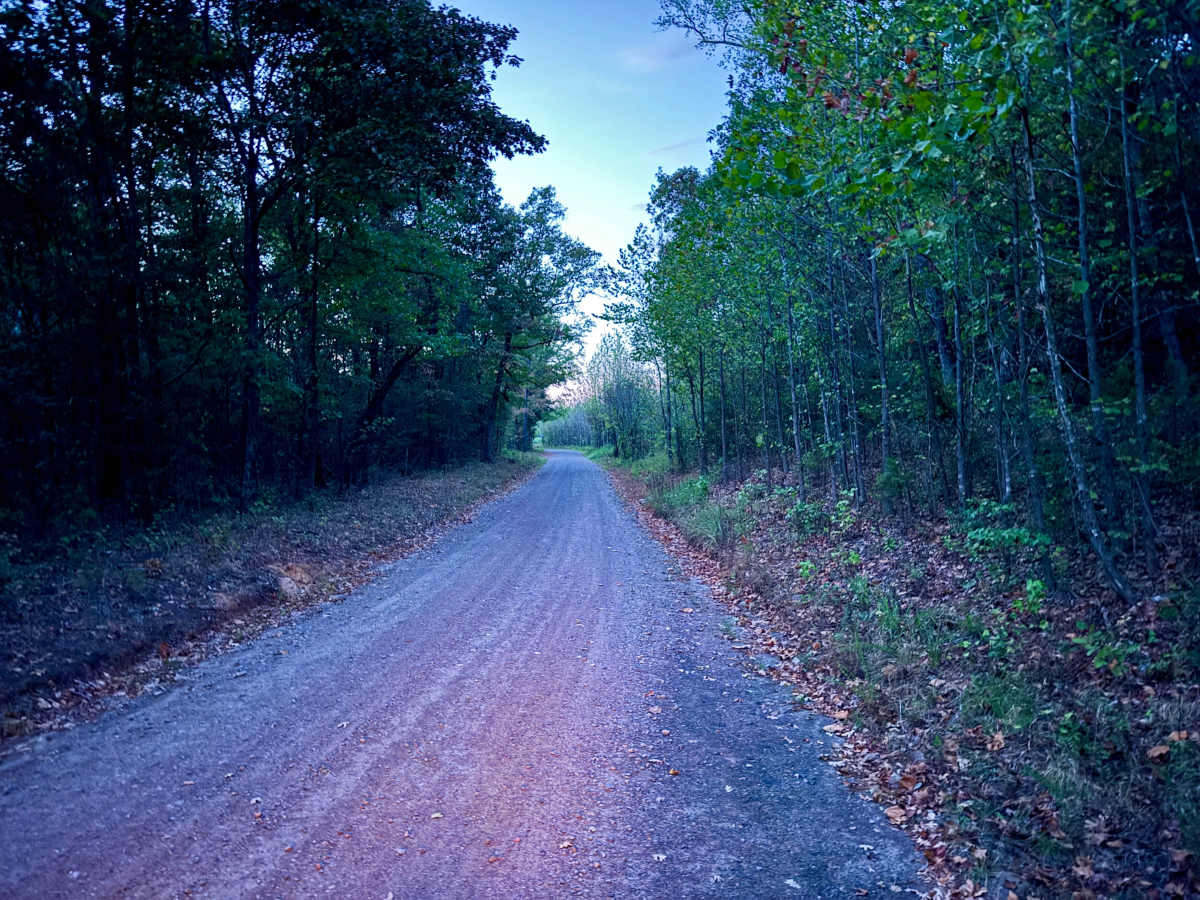 Robert Hill Road photo 2