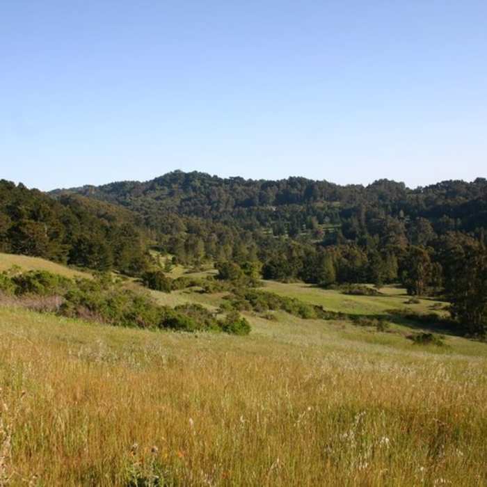Near Quarry Trail