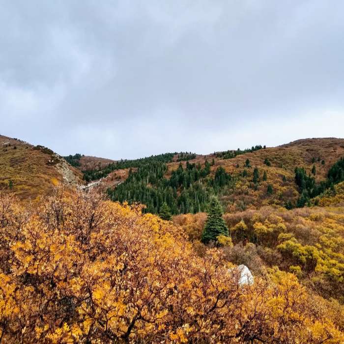 view of hell hole from prayer rock Near Davis Creek