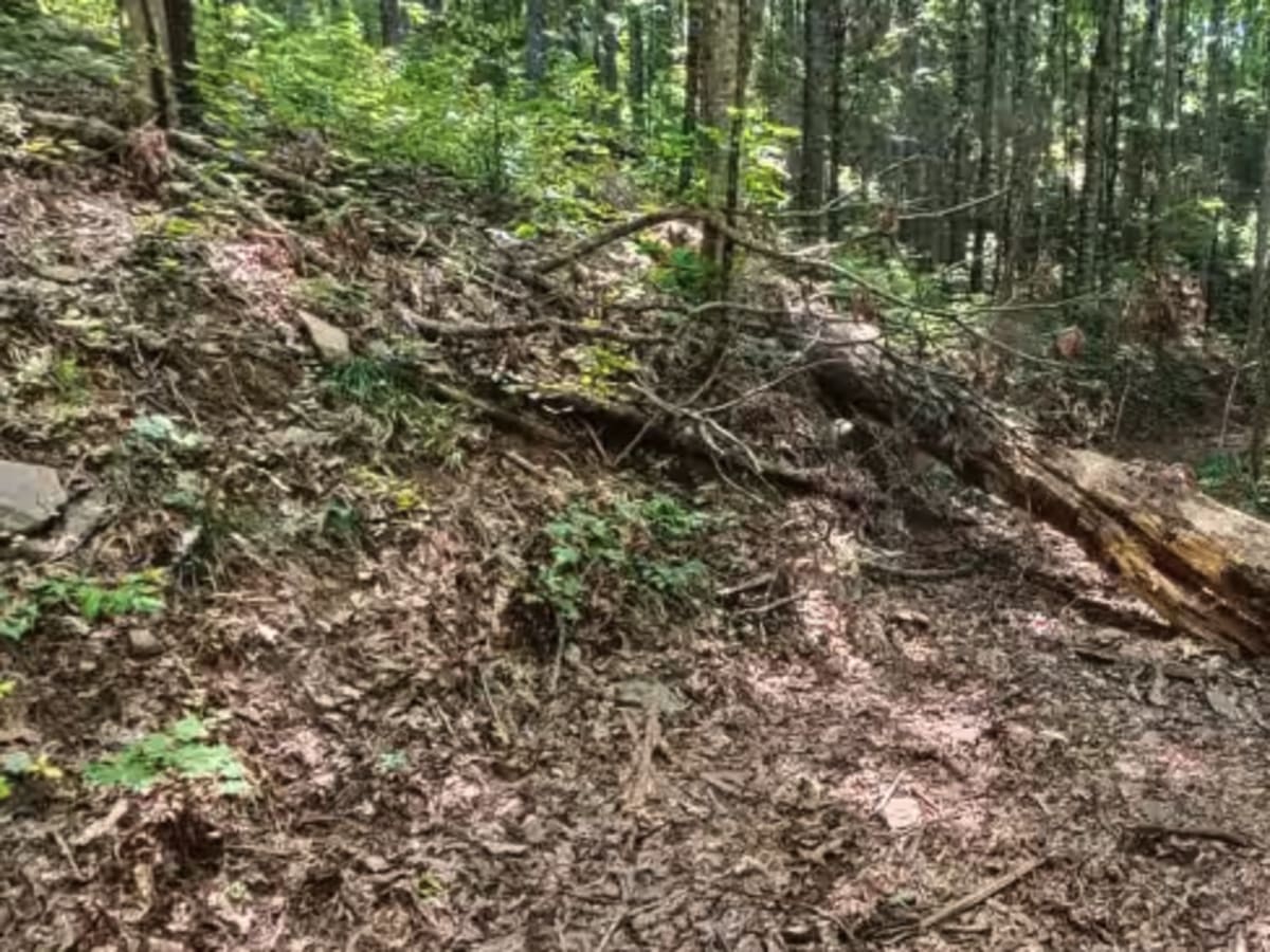 Chester Knob Upper Trail photo 3