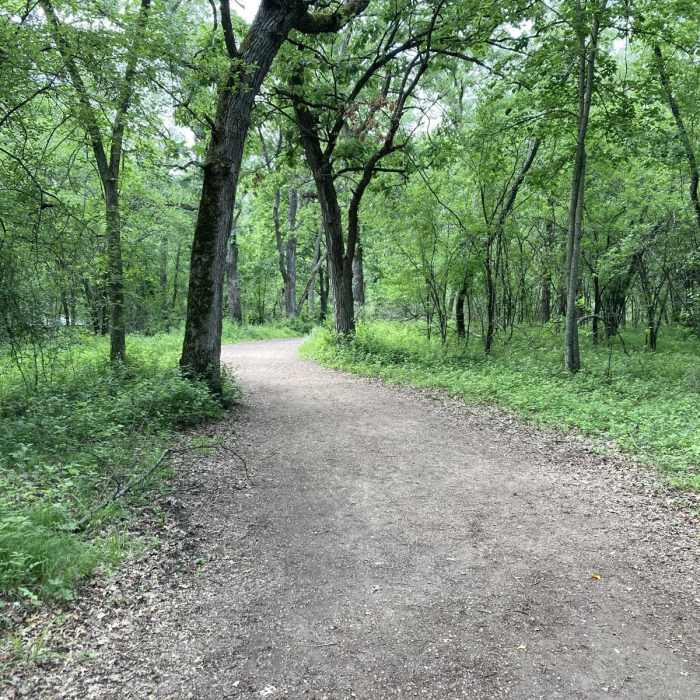 Near Willow Falls Trail