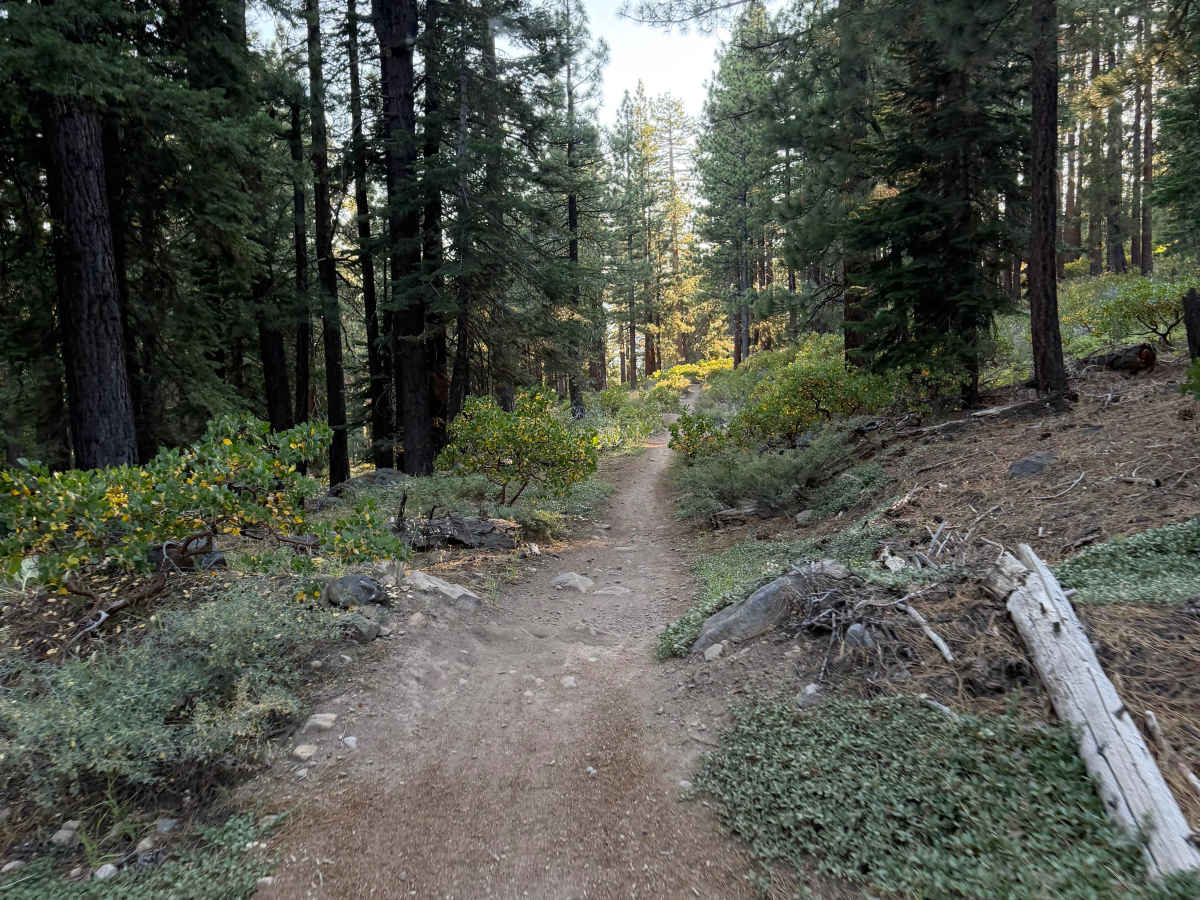 Rise and Shine (Upper) photo 6