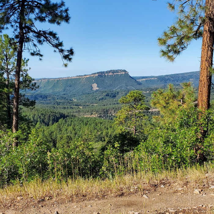 Views to the south Near Westview Loop
