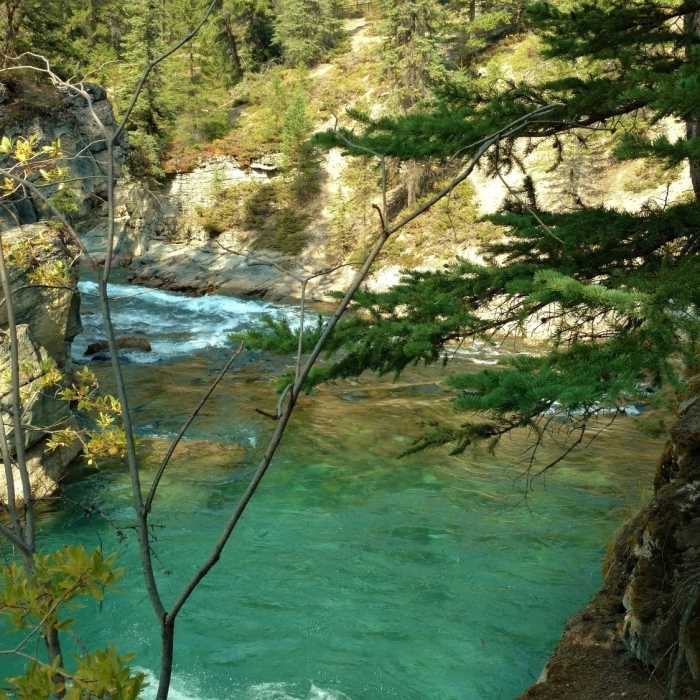 Near Maligne Canyon Trail