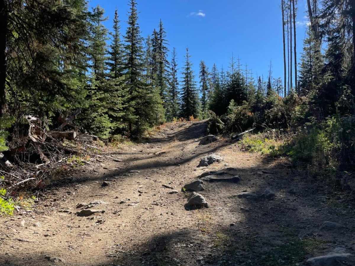 Streak Lake Recreation Site photo 4