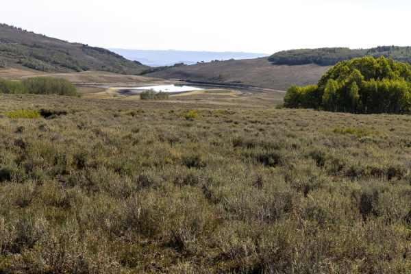 Sheep Valley Road