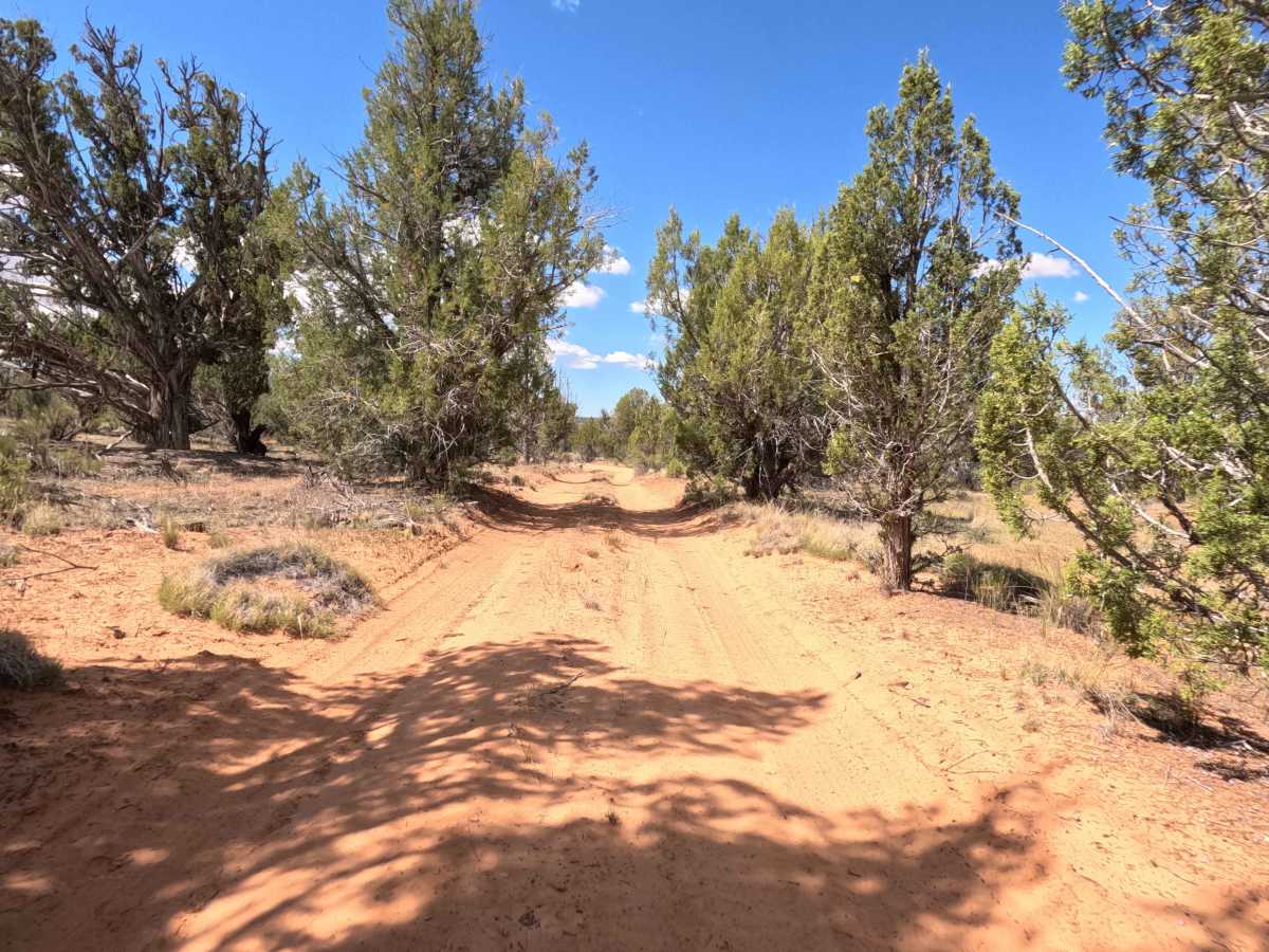 BLM 101B trail photo