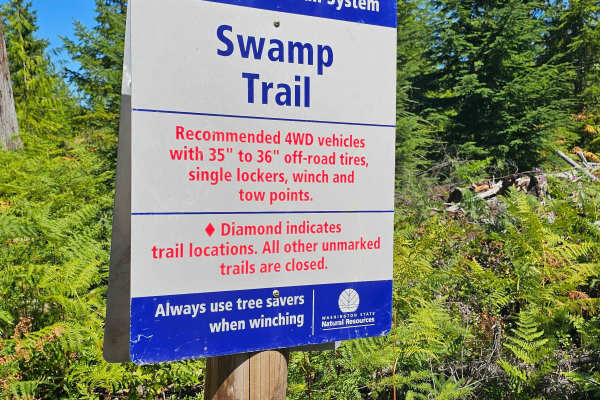 Swamp Trail