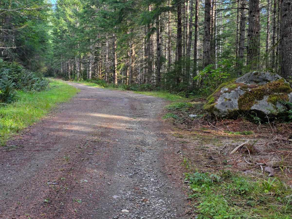 Trapper Creek - FS 2852 photo 6