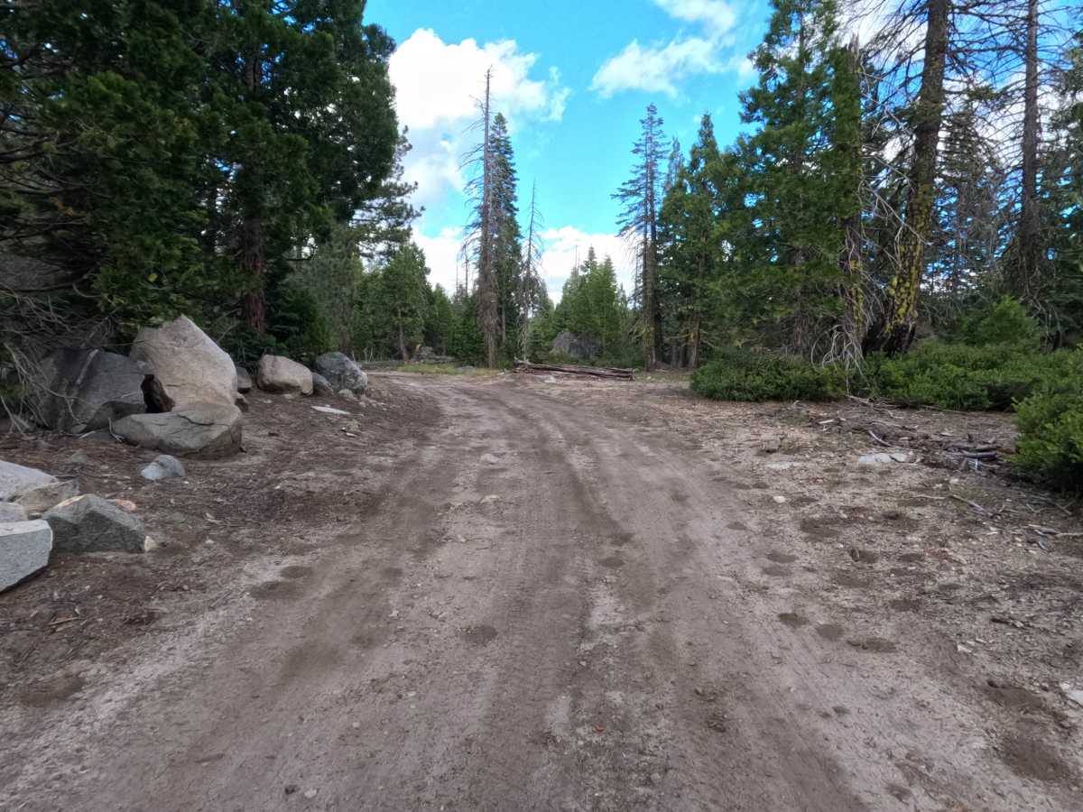 Windy Frisco Road - FS 12N99C photo 6