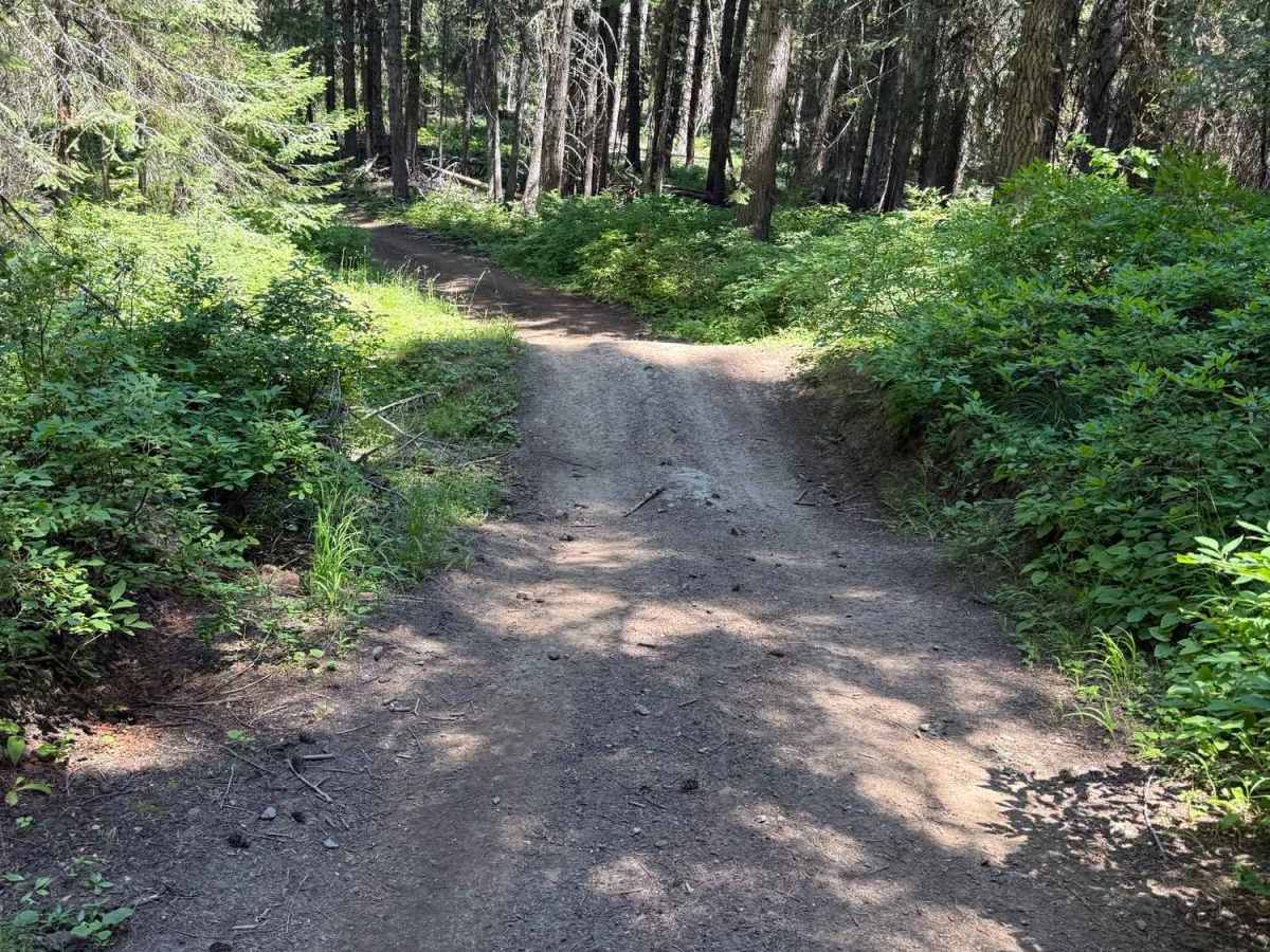 Anderson Butte Lookout photo 5
