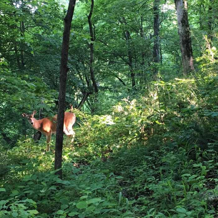 Keep an eye out for other trail users out there! Near Green River Bluffs Trail