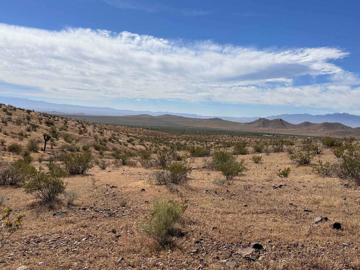 Black Butte Trail photo 4