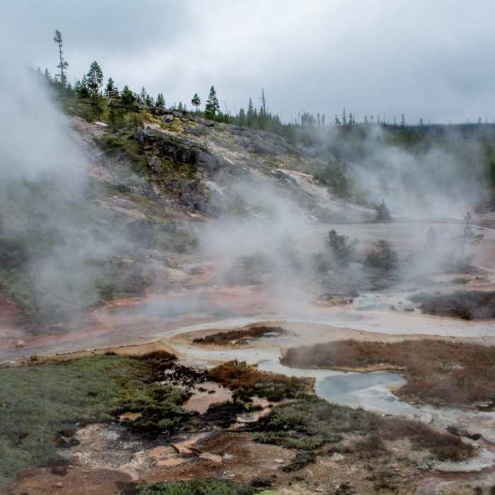 Near Artist Paintpots