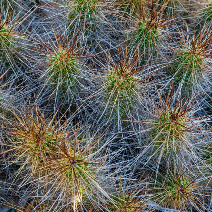 Near Hot Springs Canyon Rim Trail