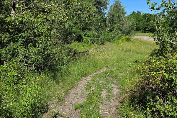 Single Track T
