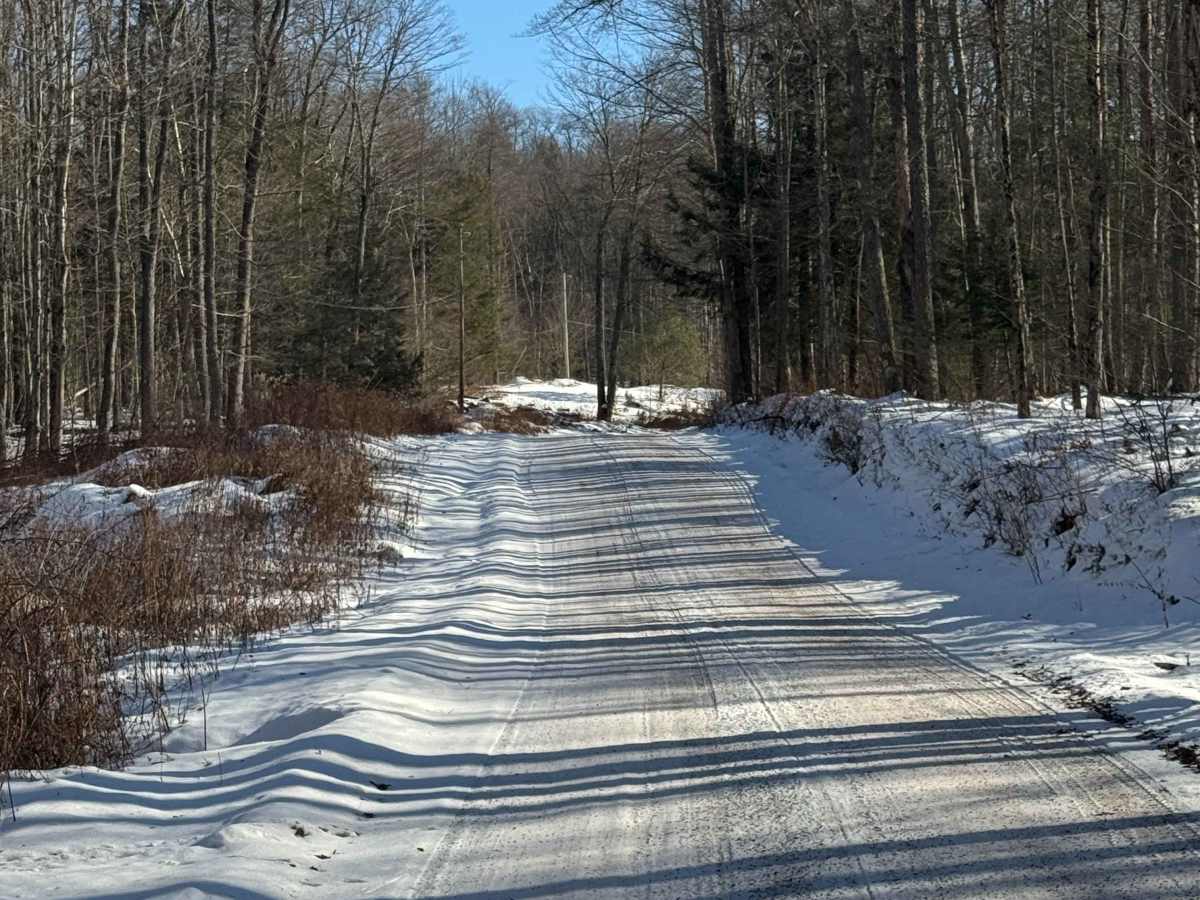 Dry Run Road photo 4