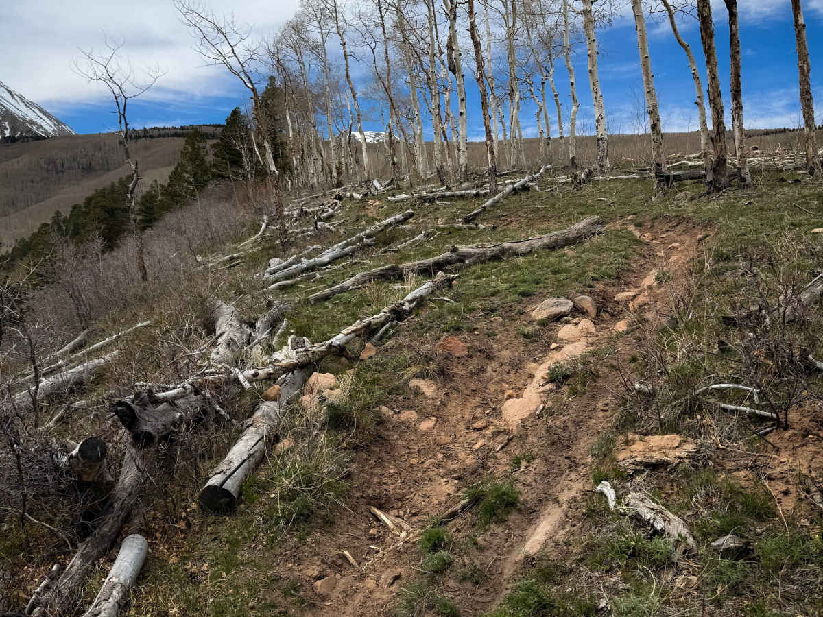 Trust Lands Singletrack (North)  photo 5