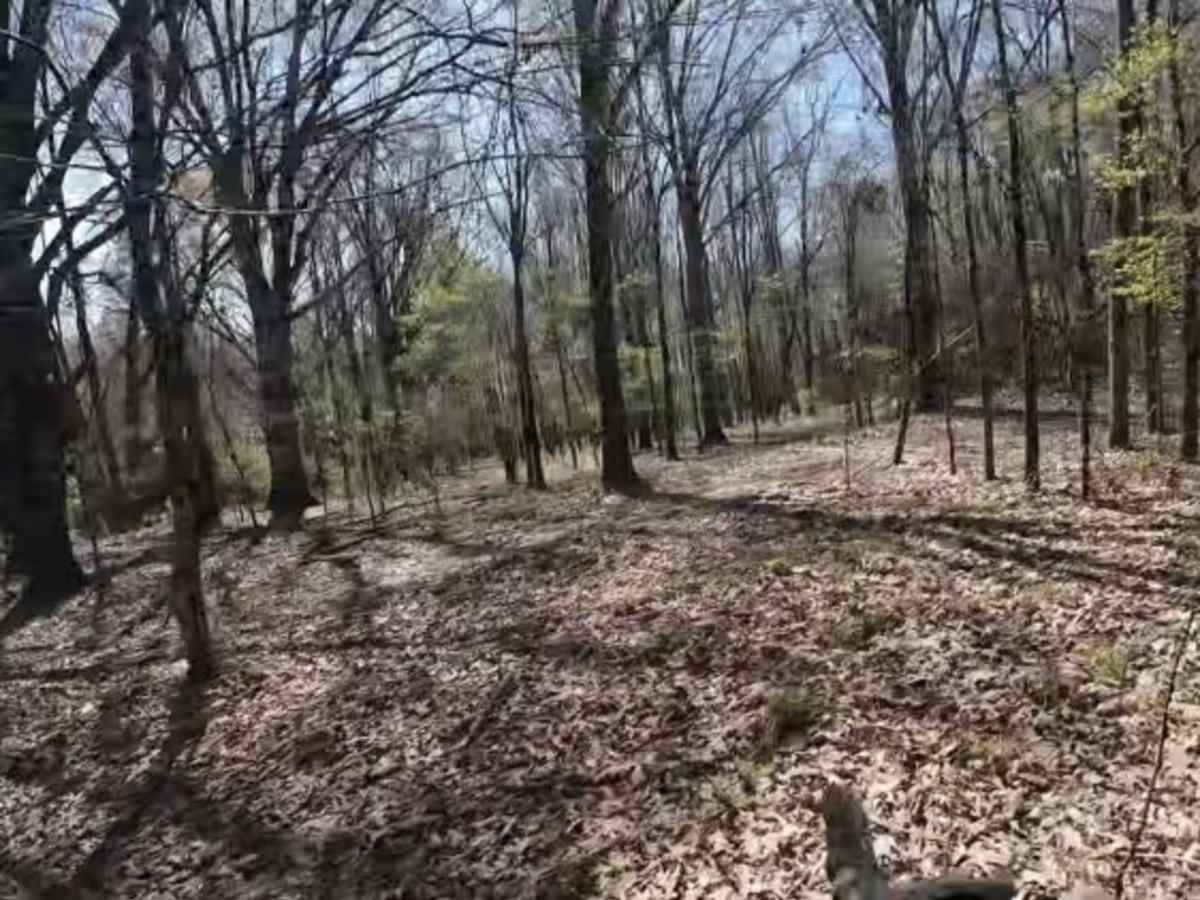 Ark Island Trail photo 5
