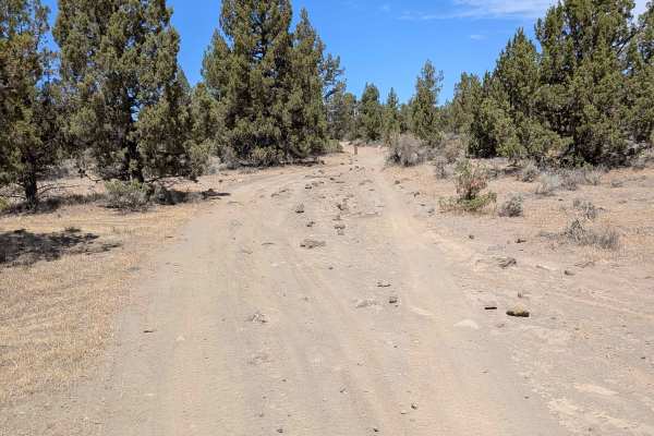 Cline Buttes OHV Trail 27 North