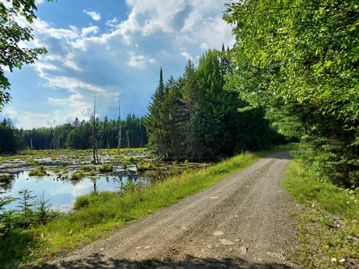 West Chapman Extension trail photo