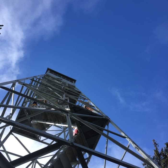 Near Elmore Mountain Loop