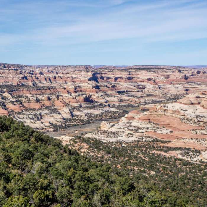 Near Salt Creek Canyon