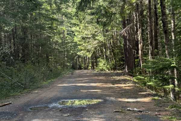 Carlton Creek Road- FS 4400