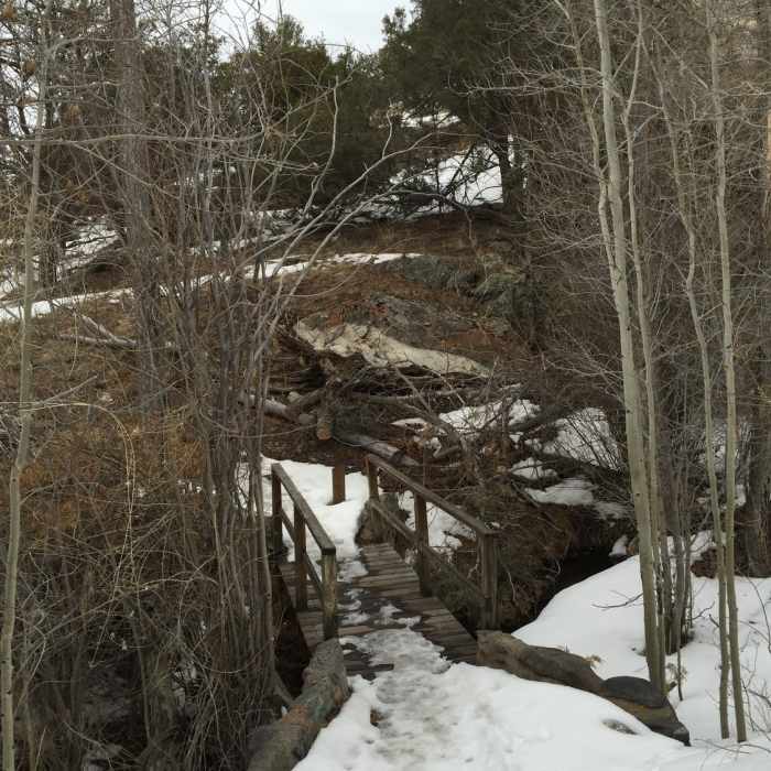 Near Montville Nature Trail