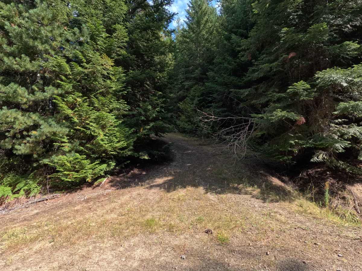 FS 318A trail photo