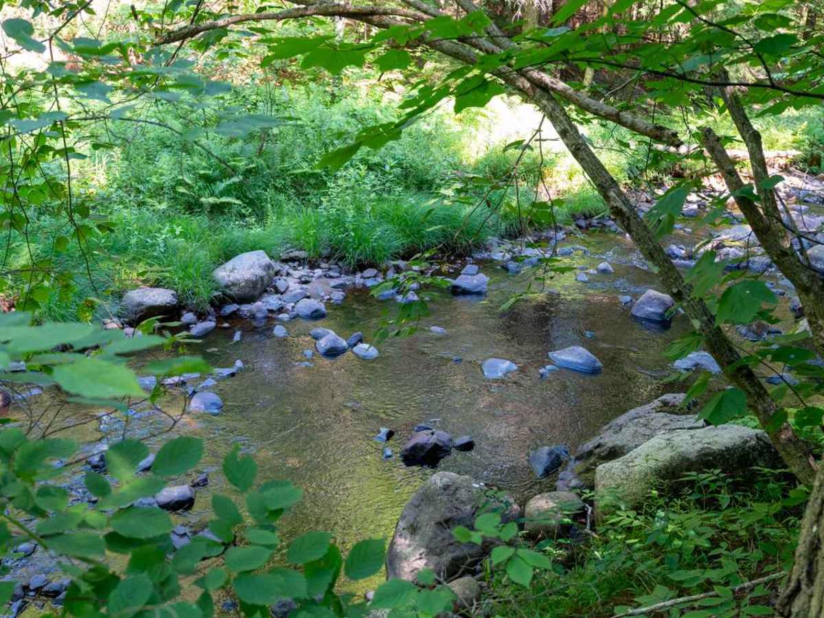 Robbs Creek Road photo 2