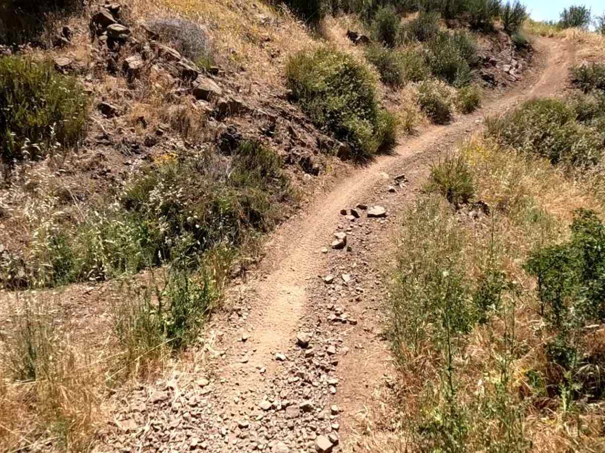 Spring OHV Trail photo 3