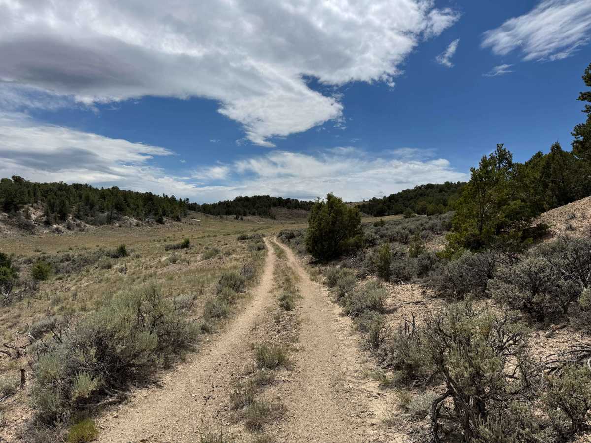 BLM 8461C photo 3