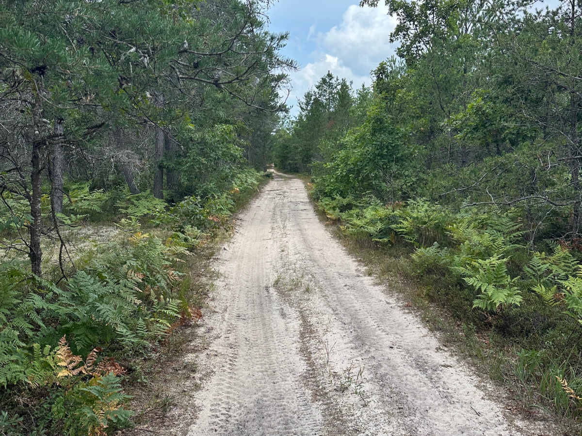 Muma Road photo 2