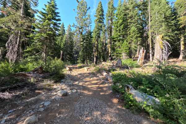Snake Lake Trail - FS 12E67 