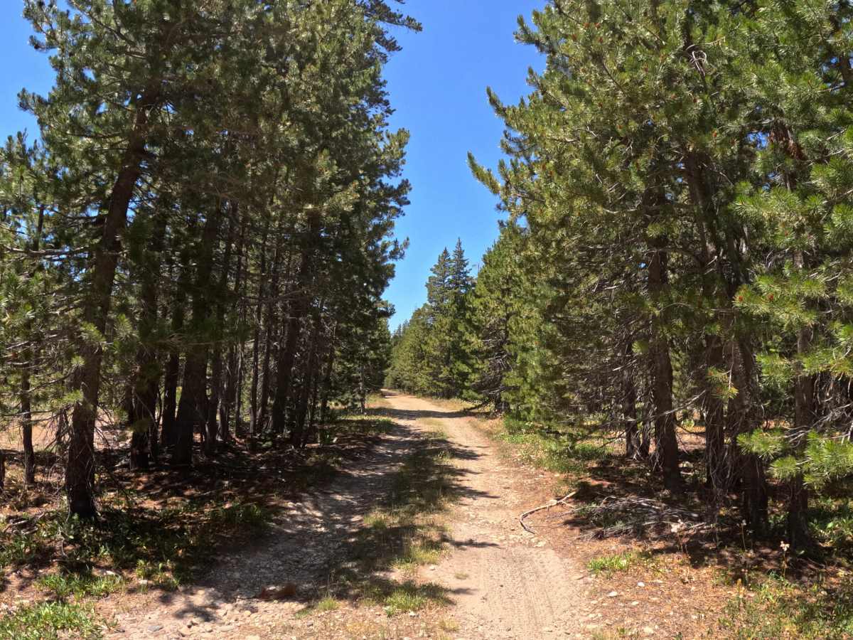 Mohawk heights road - FS 21N21 photo 4