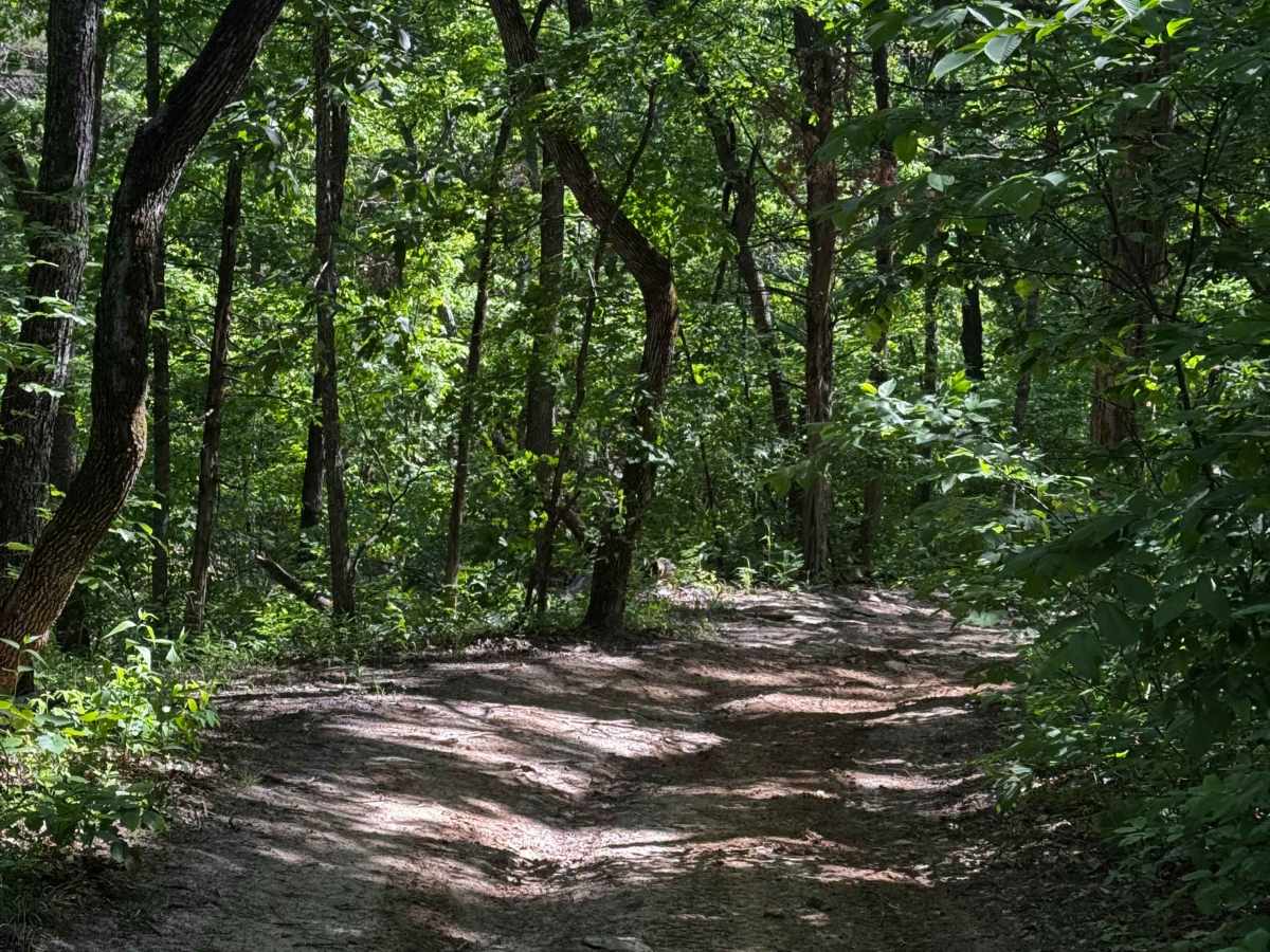 Inner Track 27 trail photo