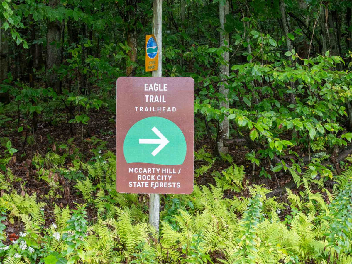 Eagle Forest Road photo 3