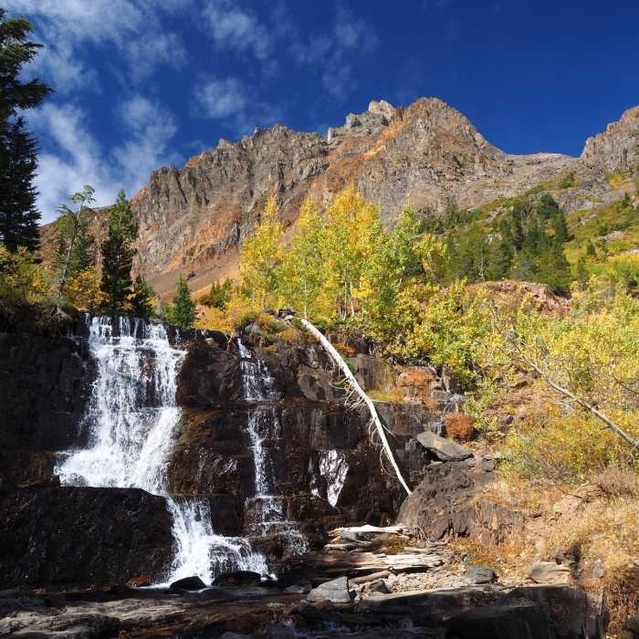 Near Lundy Canyon Trail #24E01