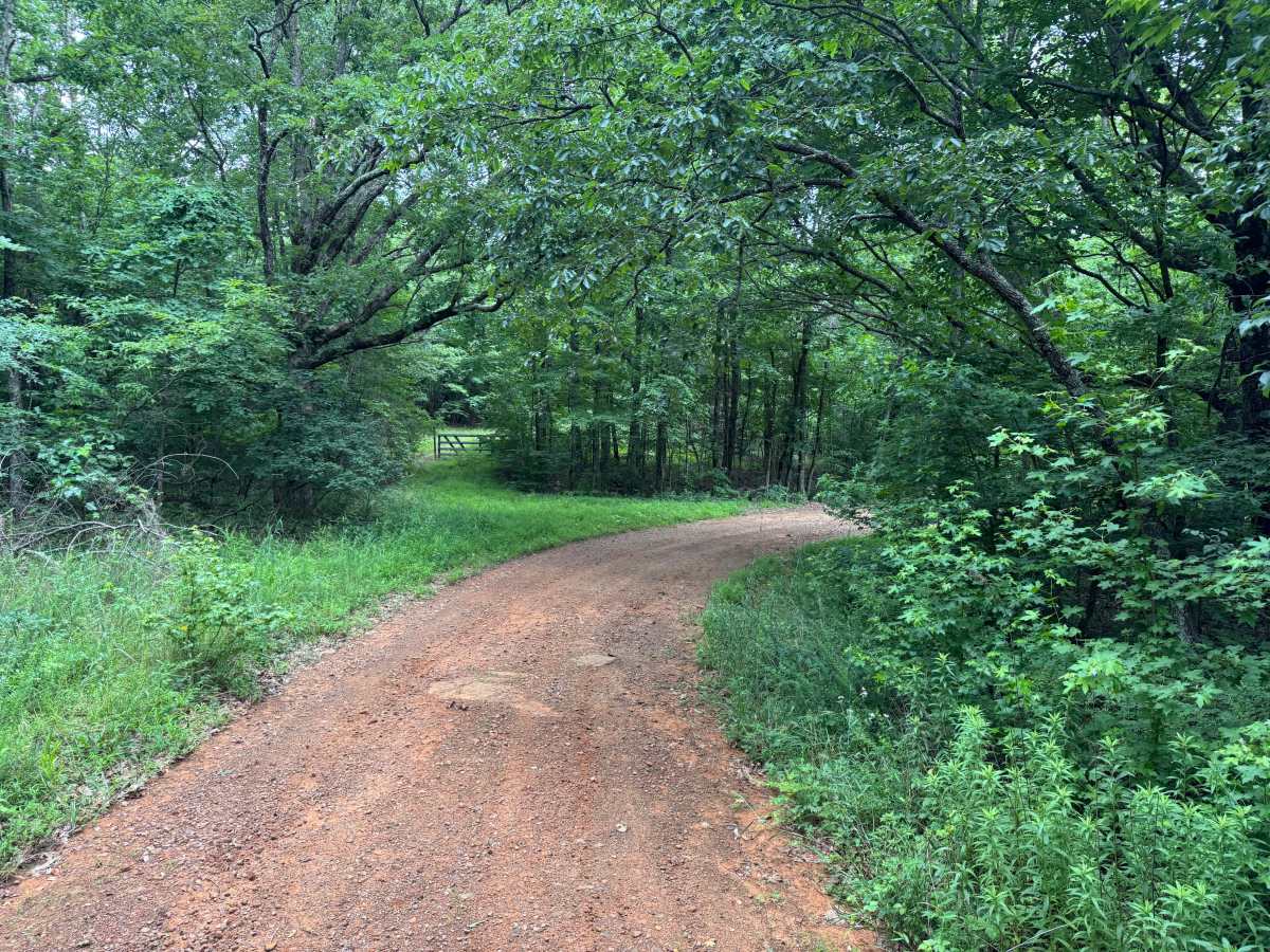 Big Flat/Butts Ridge trail photo