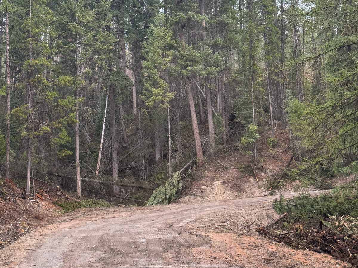 Echo Creek - FS 6113-325 photo 6