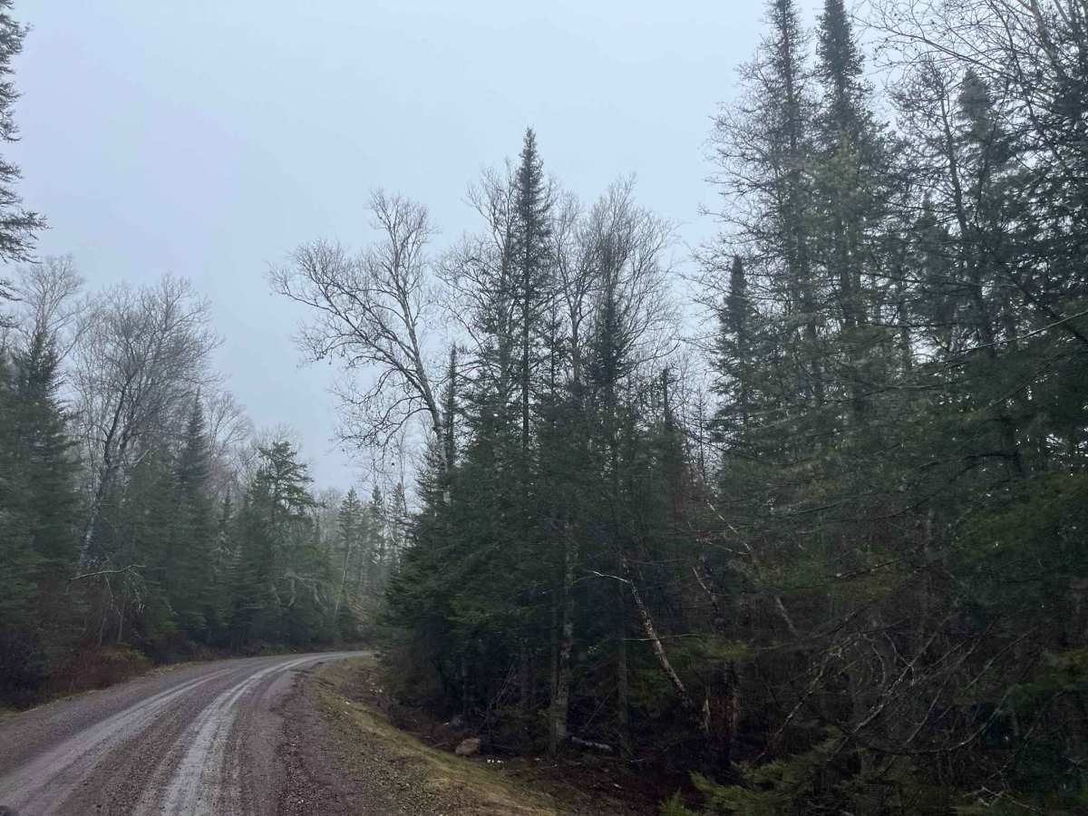 Ball Club Lake Road photo 2