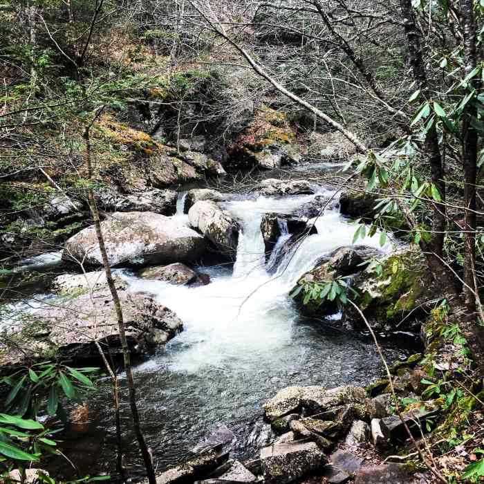 Near Virginia Creeper National Recreation Trail