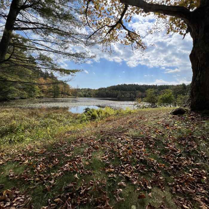 Near Bass Lake Loop