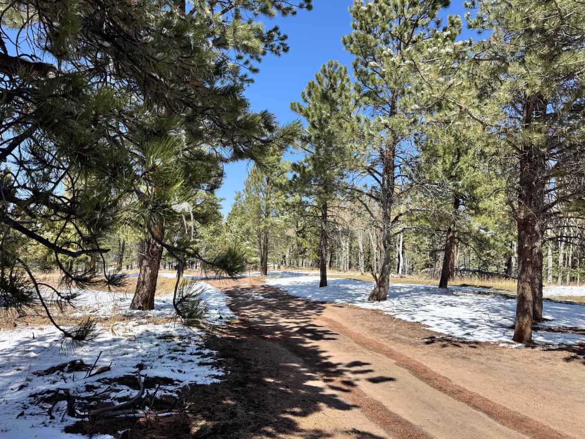 Crazy Gulch Road - FS 375 photo 3