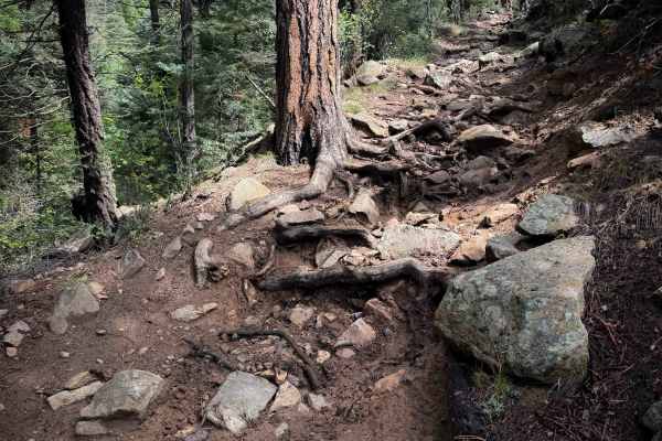 Maes Canyon Trail - FS 5