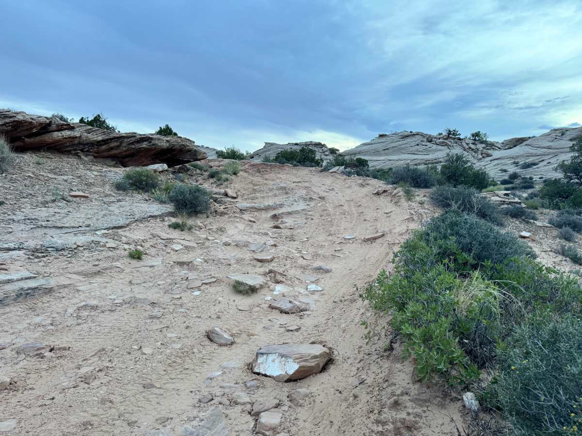 Secret Spire photo 6